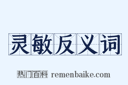 灵敏反义词是什么意思的图片